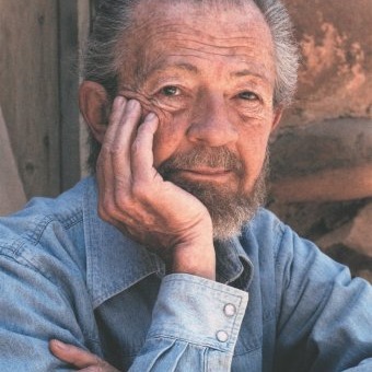 ديفيد ر. هاوكينز