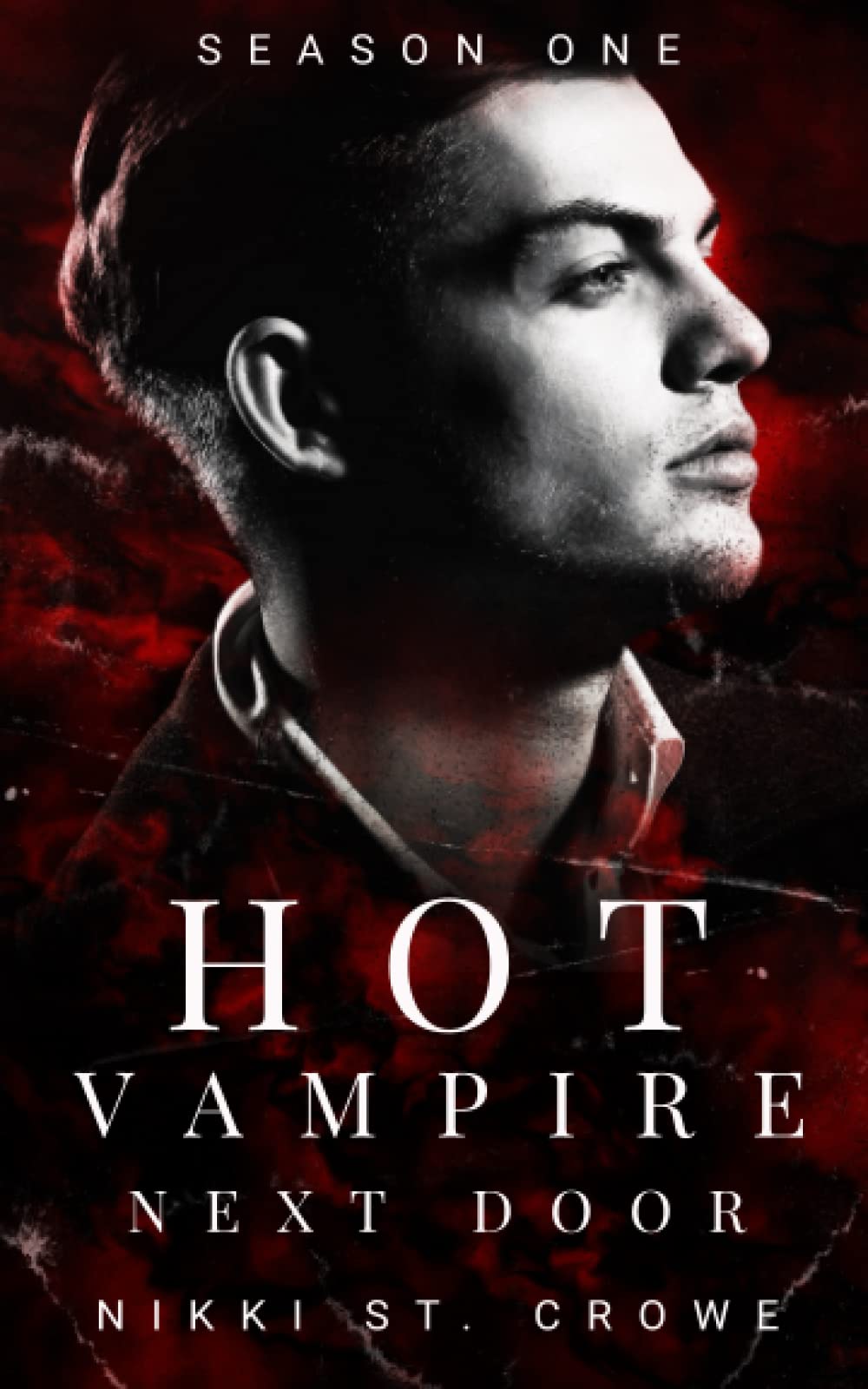 Hot Vampire Next Door (Midnight Harbor #1)