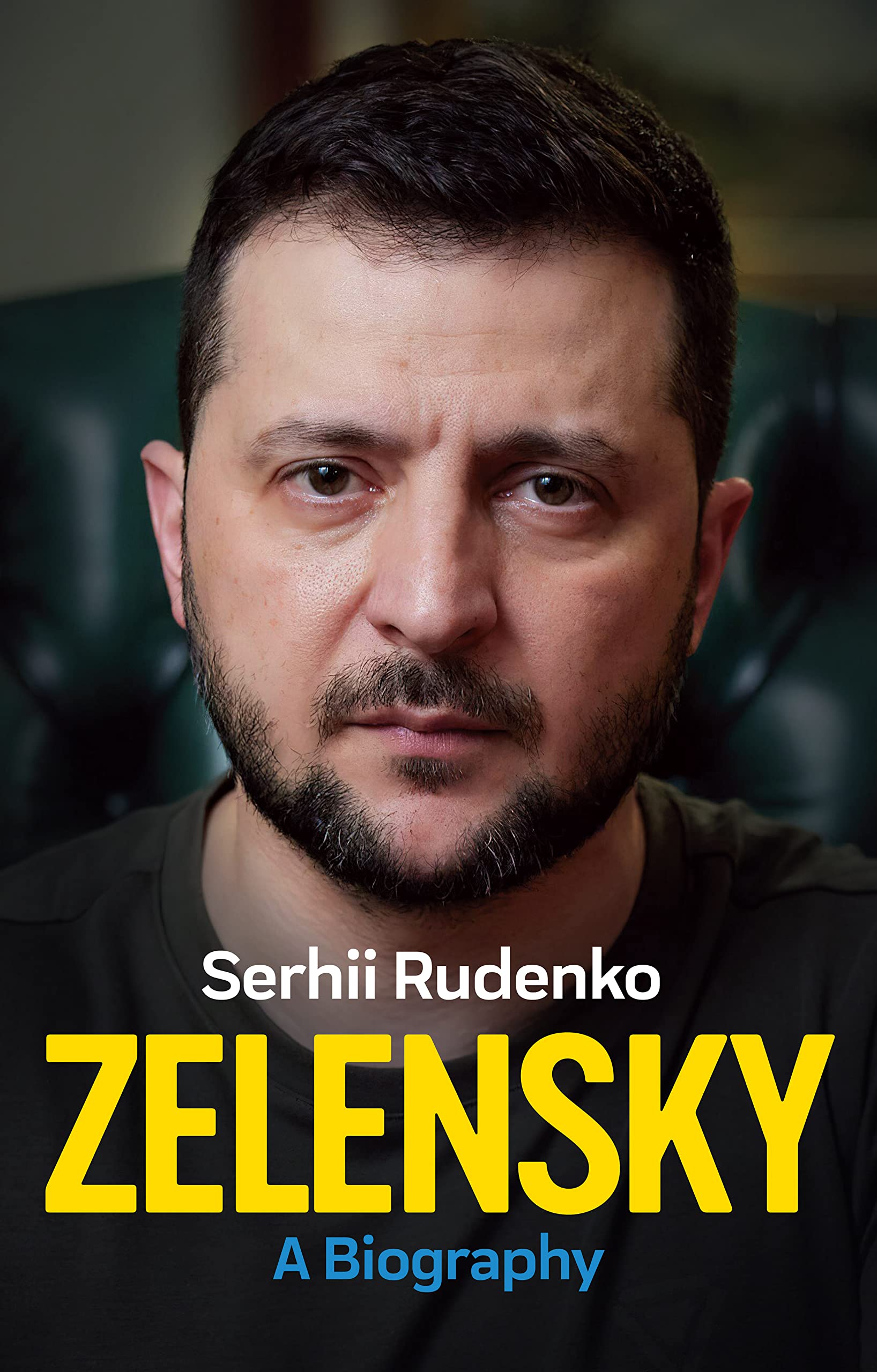 Zelensky by Serhii Rudenko