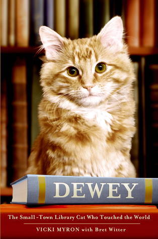 Dewey (Dewey Readmore)