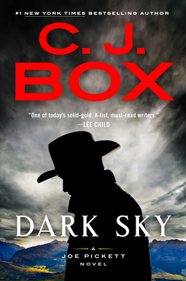 Dark Sky (Joe Pickett #21)