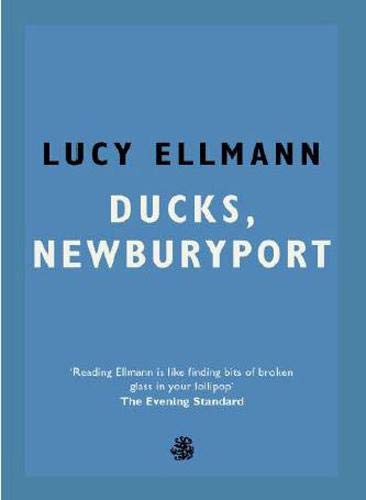 Ducks, Newburyport by Lucy Ellmann